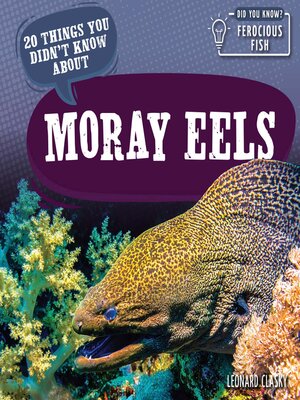 cover image of 20 Things You Didn't Know About Moray Eels